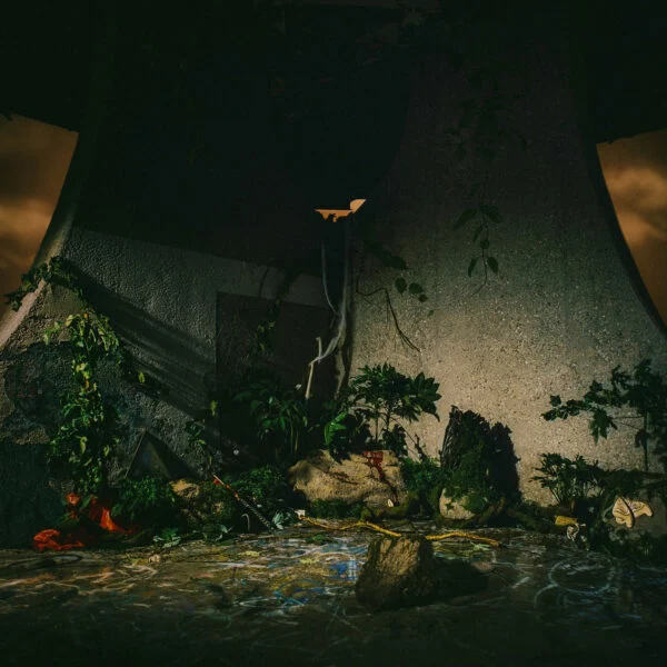 Pochette de The Plot In You