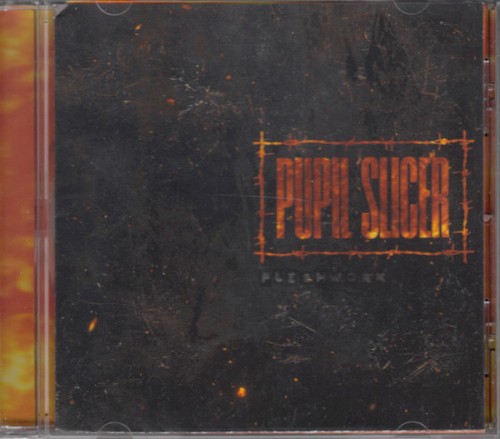 Pupil Slicer — Fleshwork