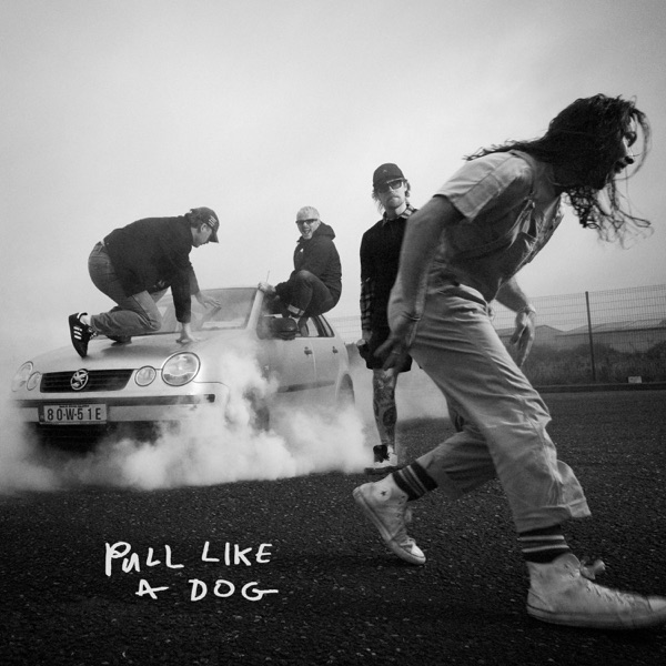 The Scratch — Pull Like a Dog