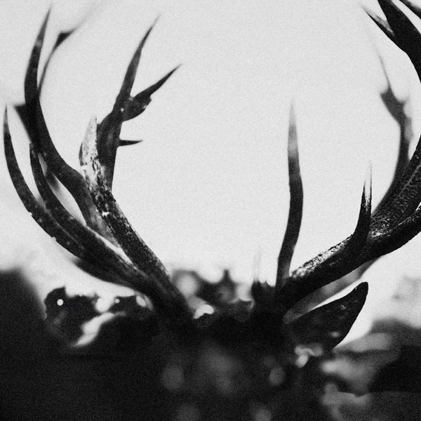 Ihsahn — IHSAHN