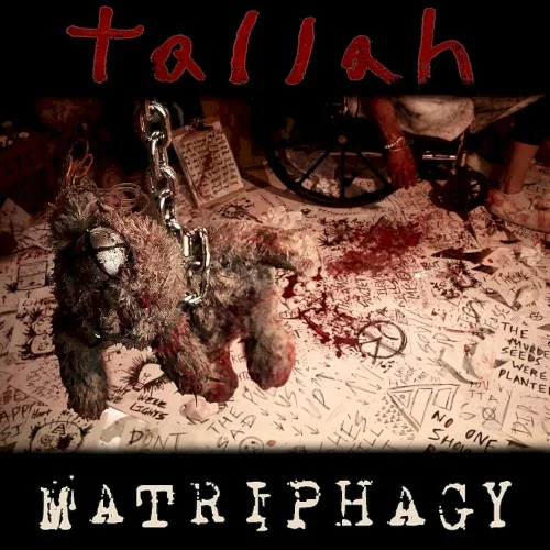 Pochette de Matriphagy
