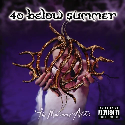 40 Below Summer — The Mourning After