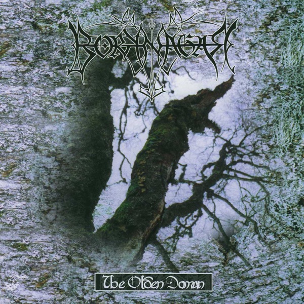 Borknagar — The Olden Domain