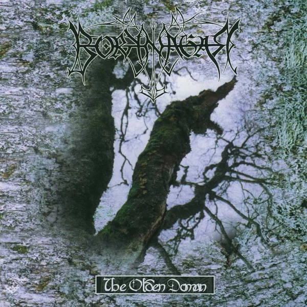 Borknagar — The Olden Domain