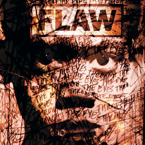 Flaw — Through the Eyes