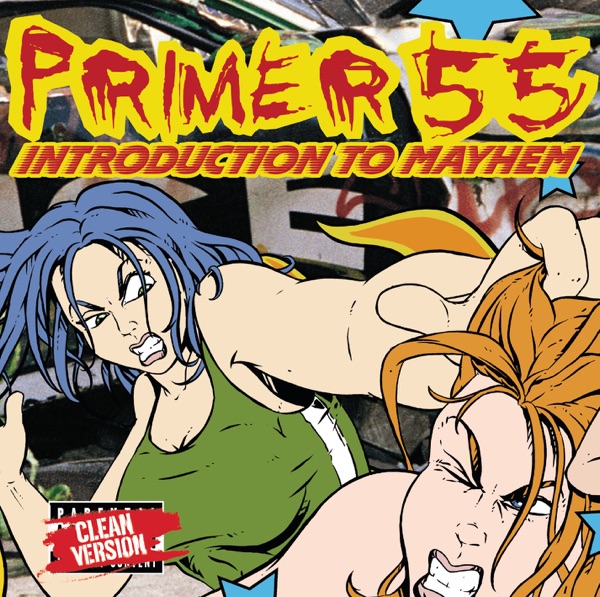 Primer 55 — Introduction to Mayhem